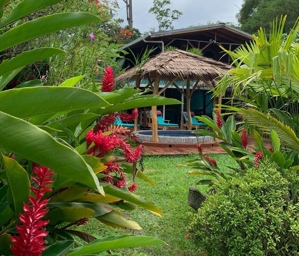 Casa Mambo Bed & Breakfast Cahuita Luaran gambar